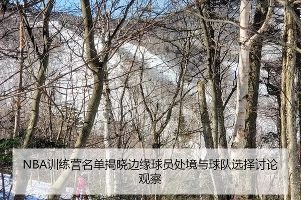 NBA训练营名单揭晓边缘球员处境与球队选择讨论观察